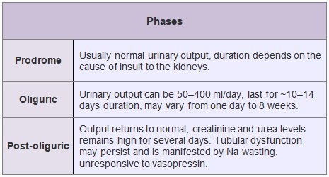 Phases of urinary output in acute tubular injury