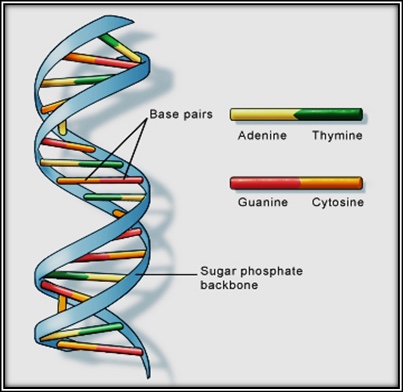 1-Image-Causes-DNA-HD